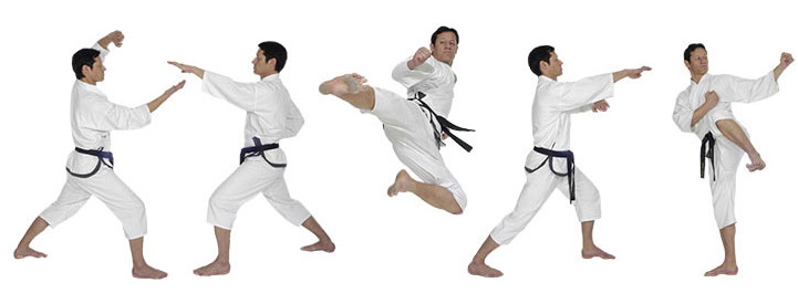 twin Taekwondo_Oberbayern