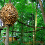 Kletteraction im Mainau Erlebniswald