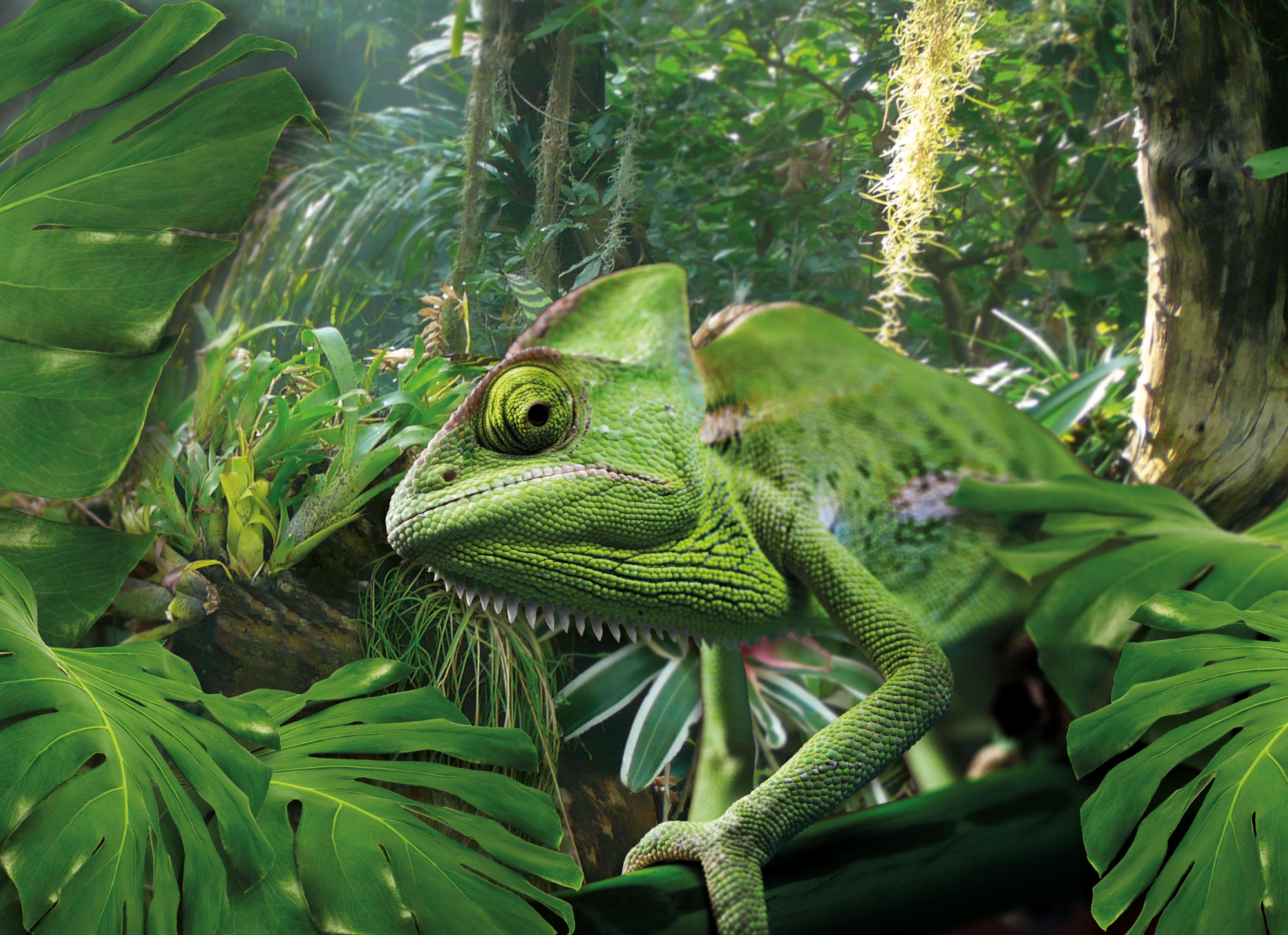 Biosphäre Potsdam GmbH