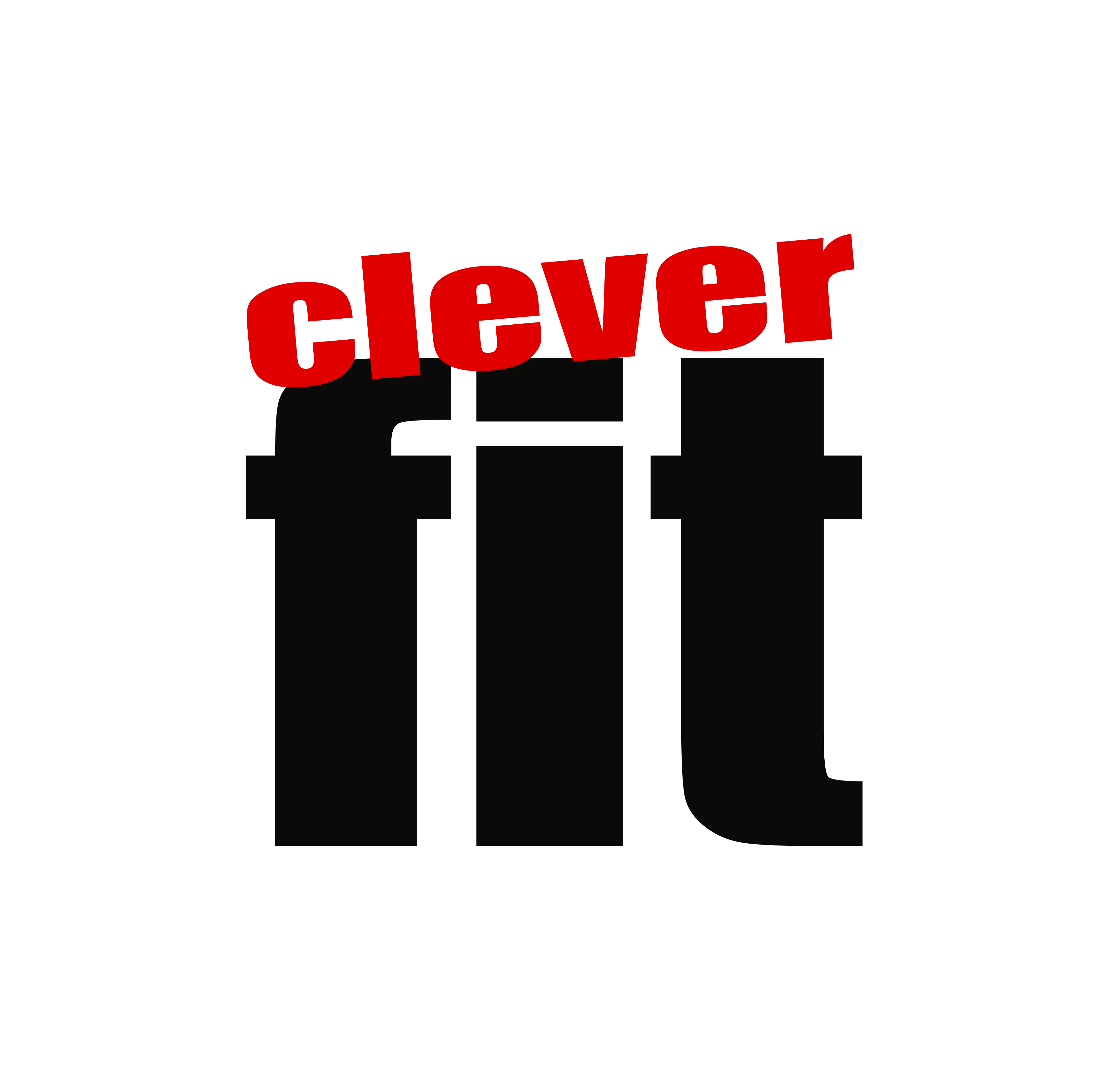 Logo_clever_fit