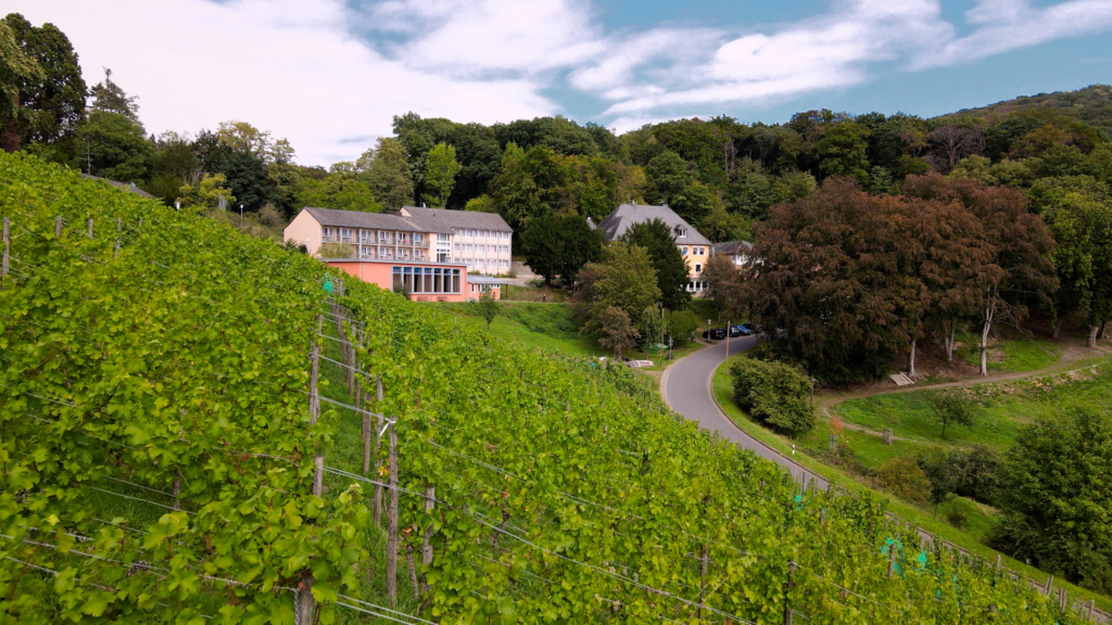 landschaftsbild-jufa-hotel-koenigswinter