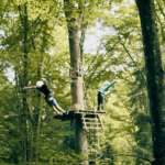 Kletteraction im Mainau Erlebniswald
