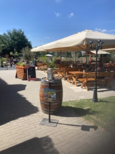 Tortuga Adventure Golf