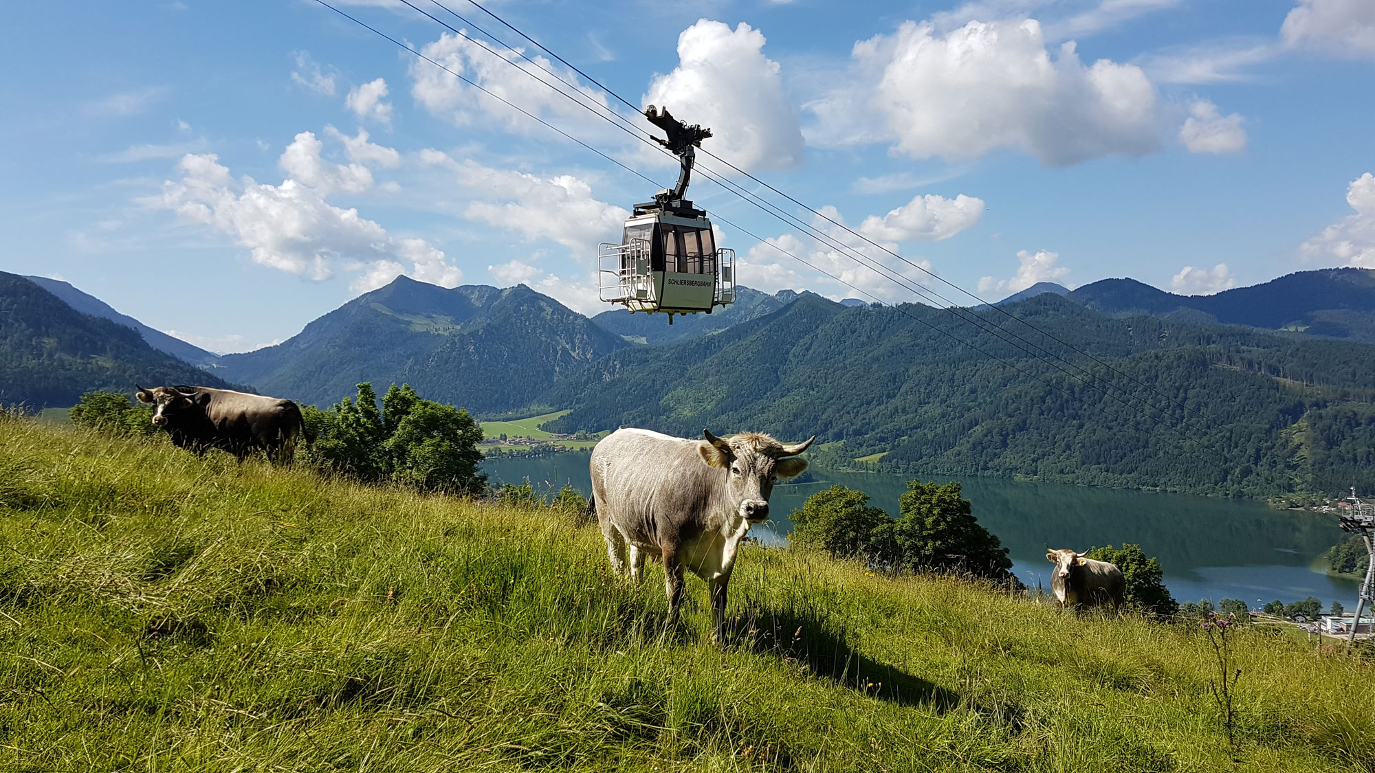 Hotel- und Seilbahn-Betriebs GmbH - Schliersberg
