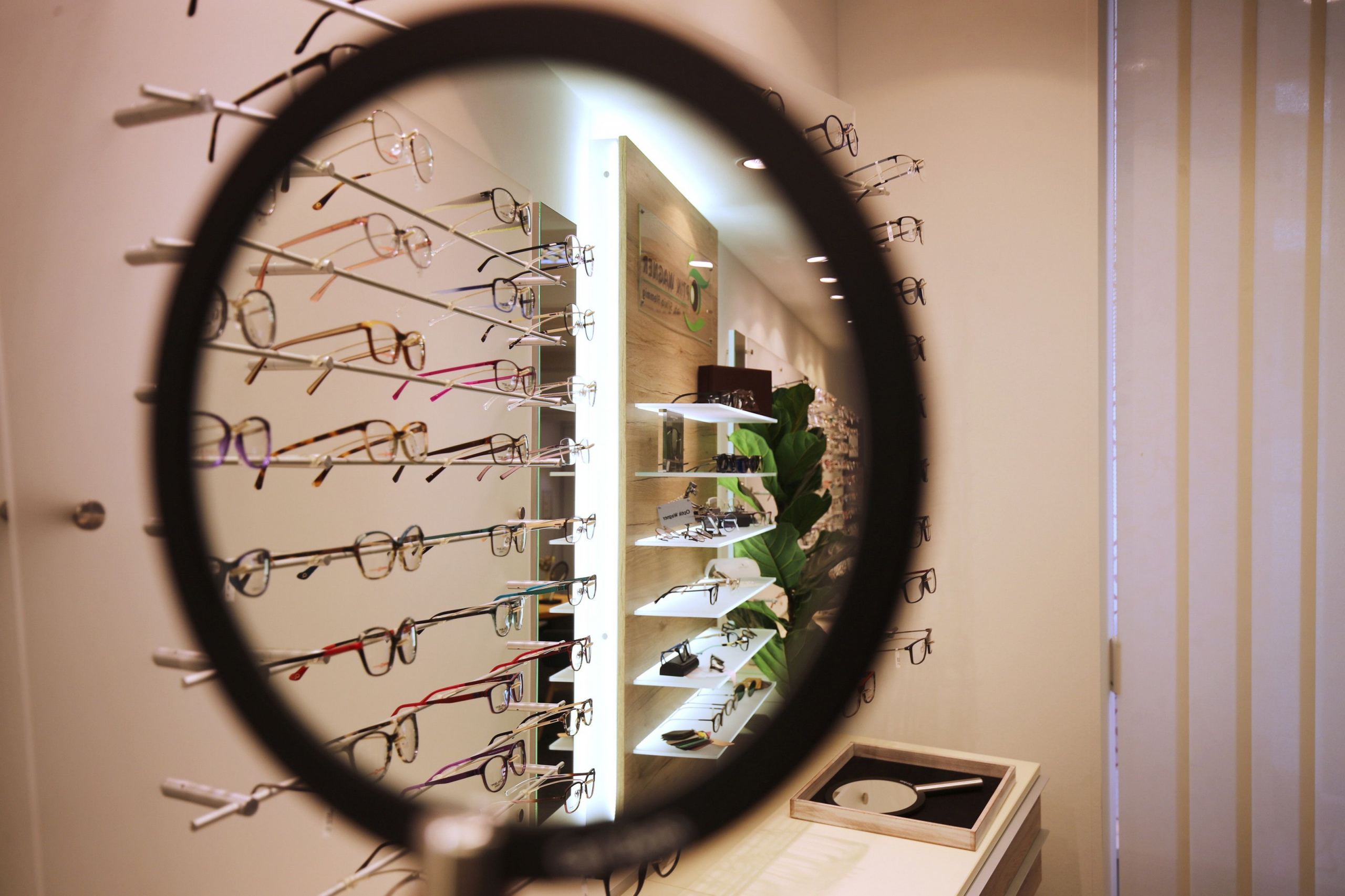 Mehrere Brillengestelle an einer Wand im Optikergeschäft.